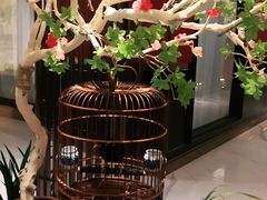 -皇城根·鲁菜济南菜·吊炉烤鸭·炒鸡鱼头(济南旗舰店)