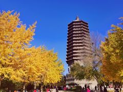 -玲珑塔公园