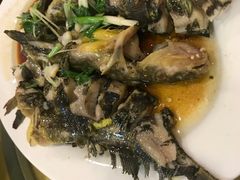 -鸿达渔港