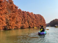 -上海海湾国家森林公园