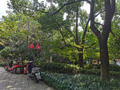 -杭州半山国家森林公园