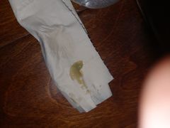 -瑞派·关忠动物医院·异宠专科·犬猫肿瘤·皮肤专科(望京店)