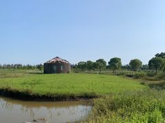 -上海都市菜园