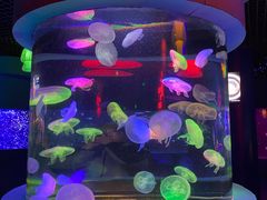 -太平洋海底世界