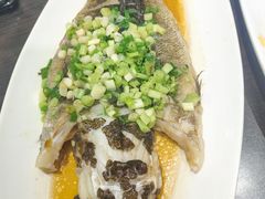 -老牌坊鲁菜名店(聊城美食岛店)