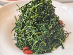红果枸杞苗-清真·宁夏印象·盐池滩羊肉体验店(江宁路店)