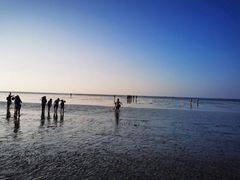 -南汇嘴观海公园