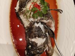-百富源·海鲜辽菜(张士店)