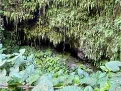 -海口火山口国家地质公园