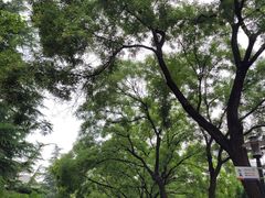 -山东师范大学(千佛山校区)