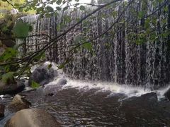 -汤旺河林海奇石景区
