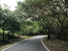 -南京市无想山景区