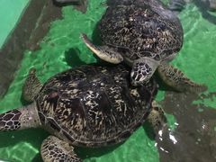 -常州海昌海洋探索馆