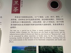-中国茶叶博物馆(双峰馆区)
