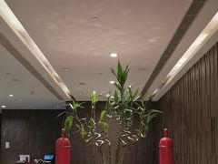 -红棉中餐厅·广州海航威斯汀酒店