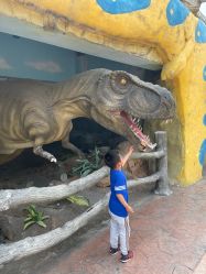 -宝燕乐园(闵行旗舰店)