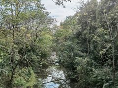 -东平国家森林公园