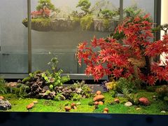 -外滩·云南人家(昆明旗舰店)