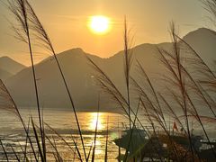 -北岐滩涂