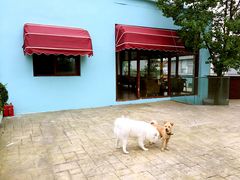 -汪说喵讲宠物乐园宠物酒店(红星美凯龙店)