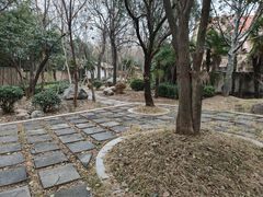 -长安先导国际创新人才交流中心