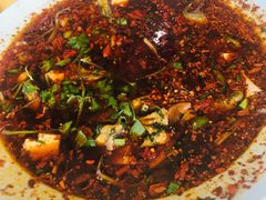 -胖大姐黄辣丁鱼庄(新津店)