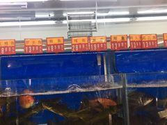 -幸福荣耀生鲜超市(和平街店)