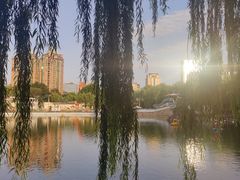 -团结湖公园