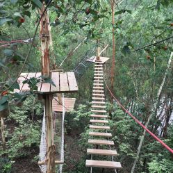 -成都飞越丛林(锦绣城园区)