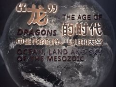 -贝林大翅鲸简餐厅(国家海洋博物馆店)