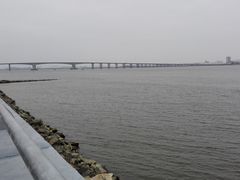 -大湾区中央湿地公园