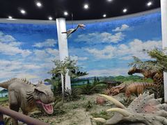 -吉林省自然博物馆