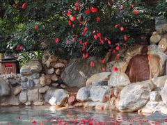 -湖泉半山温泉(湖泉生态园)