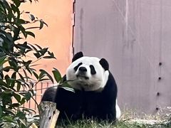 -SFEEL设计师酒店(成都春熙路天府广场店)