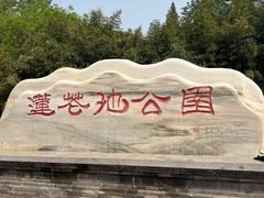 -莲花池公园