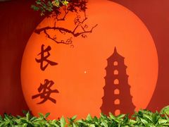 -清真·马洪小炒泡馍馆(钟楼回民街店)