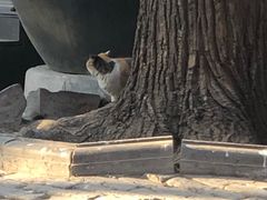 -故宫钟表馆