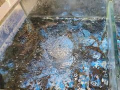 -头上红煨盐鸡·非遗院子餐厅