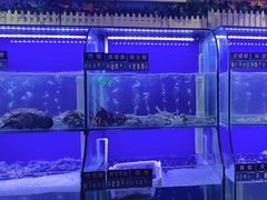 -启东小海鲜(庄先湾路1号店)