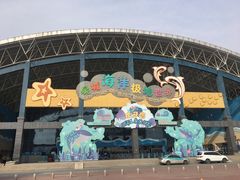-泉城欧乐堡海洋极地世界