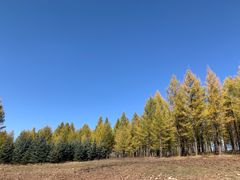 -塞罕坝国家级自然保护区