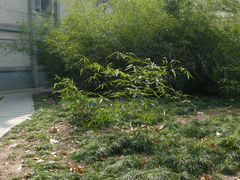 -陕西师范大学(雁塔校区)