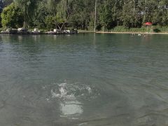 -柳浪游泳场