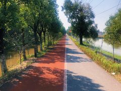 -上海长兴岛郊野公园