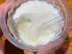 奶皮子酸奶-柴窝堡22号辣子鸡·传承新疆菜