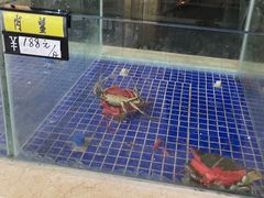 -老巴刹新加坡餐厅