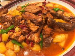 -巴依老爷新疆美食(清华东门店)