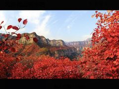 -沕沕水生态风景区