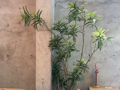 -必胜客(上海华谊新所店)