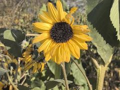 -汉长安城未央宫国家考古遗址公园